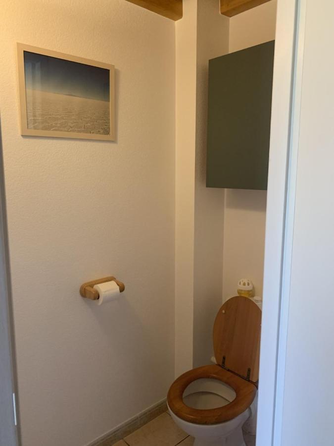 Appartement Dans Chalet Avec Jardin, Vue Montagne Aucun Eksteriør billede